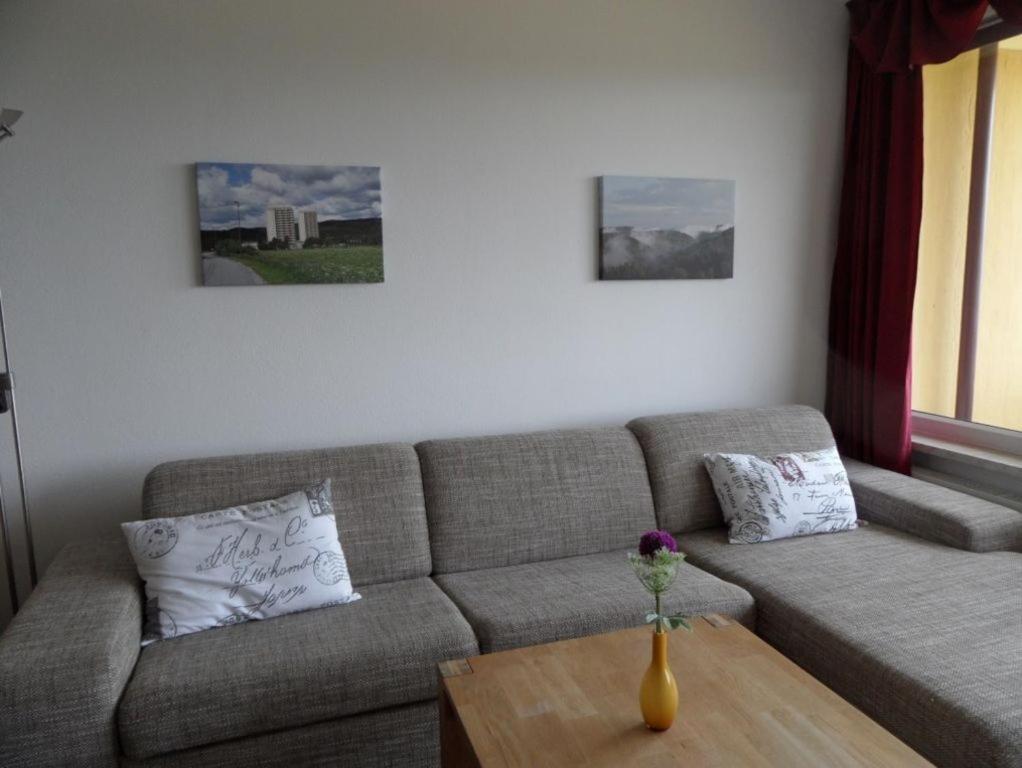 Ferienapartment Mit Schwimmbad Und Bergblick Braunlage Exterior photo